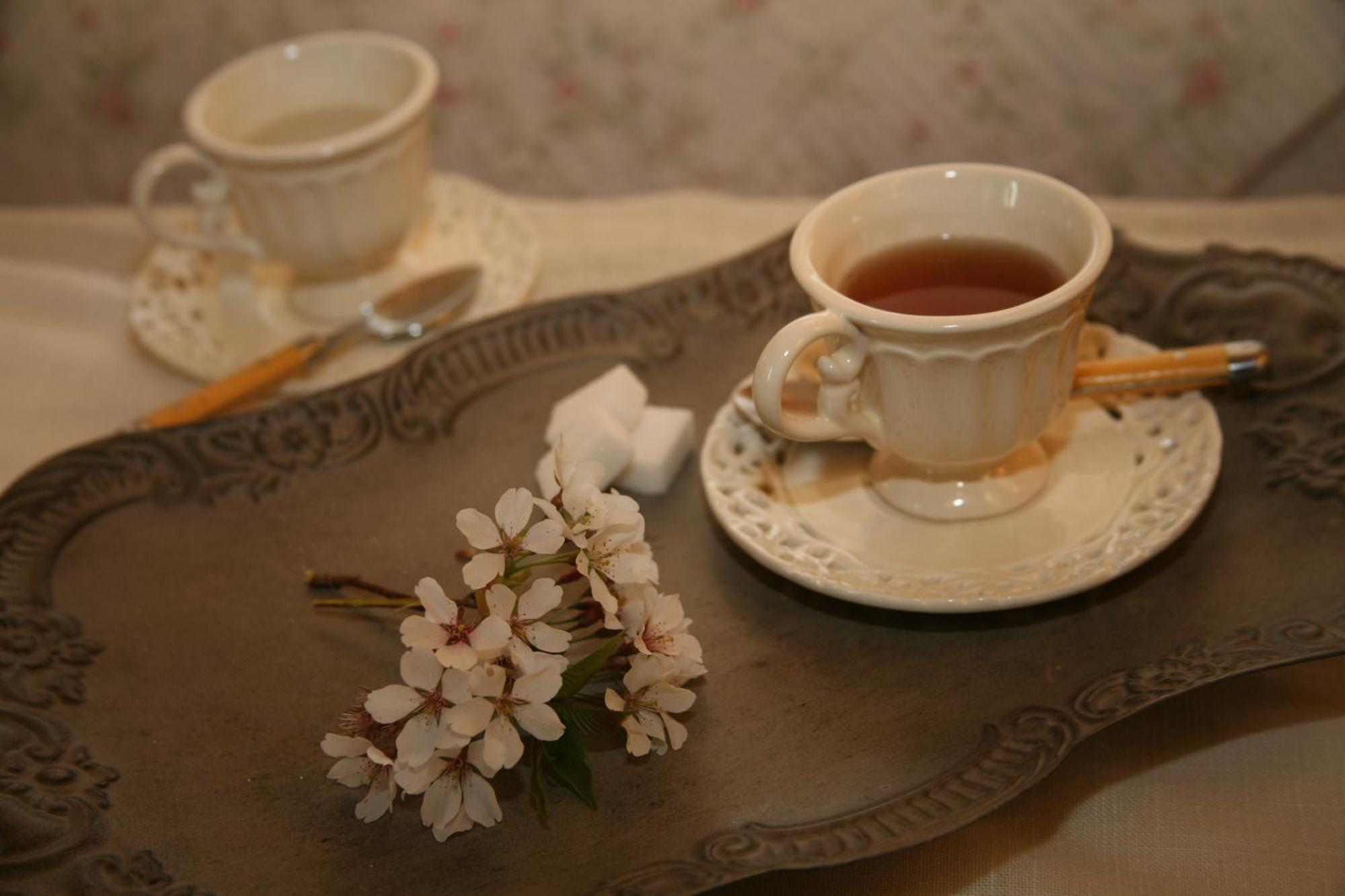 Chambres "Au Jardin" ビスカロッス エクステリア 写真